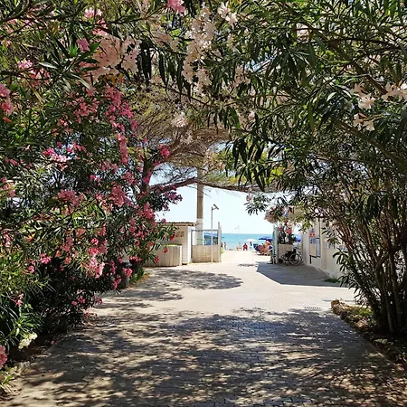 Πάρκο διακοπών Villaggio Gabbiano 3*