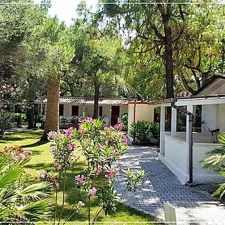 Villaggio Gabbiano Πάρκο διακοπών Βιέστε